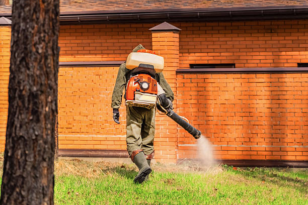 Trusted Termite Control service in Eddyville, IA - Nex Pest Control